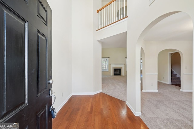 entryway featuring carpet flooring and a high ceiling