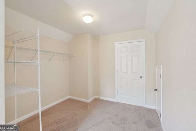 walk in closet featuring carpet and lofted ceiling