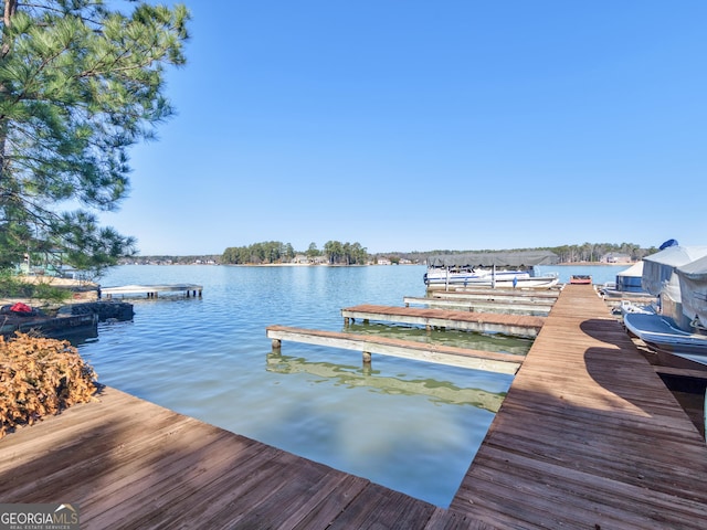 dock area with a water view