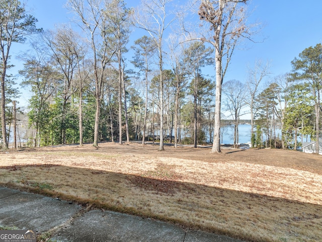 view of yard featuring a water view