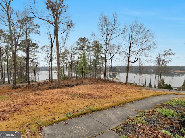 view of yard featuring a water view