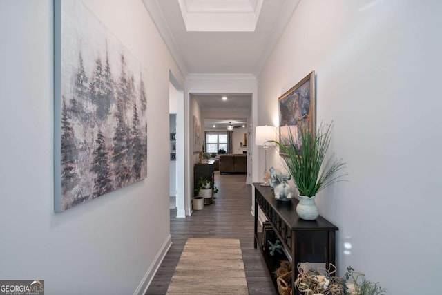 hall featuring crown molding and dark hardwood / wood-style floors