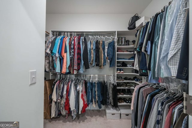 spacious closet with carpet flooring