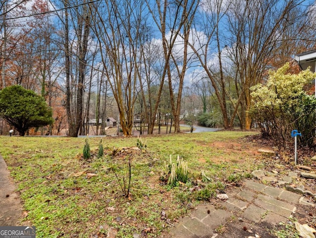 view of yard with a water view