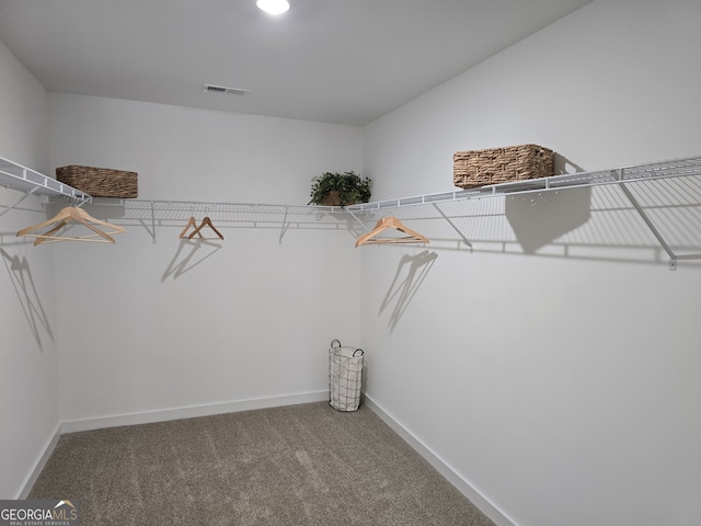 walk in closet with carpet flooring