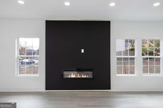 details featuring wood-type flooring and a large fireplace