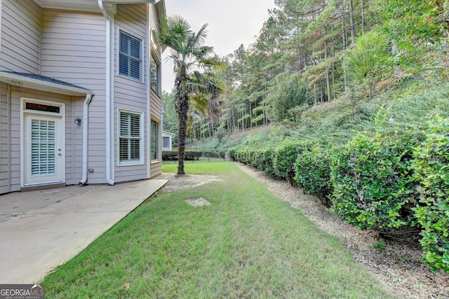 view of yard featuring a patio