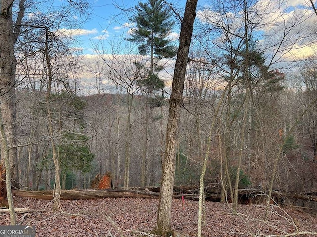 LOT402 Crown Ct, Ellijay GA, 30540 land for sale