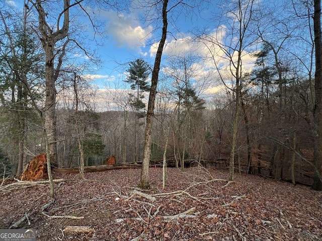 Listing photo 3 for LOT402 Crown Ct, Ellijay GA 30540