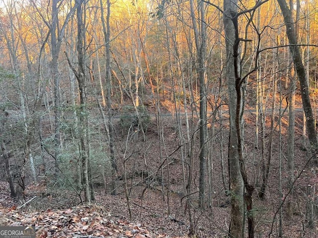 Listing photo 2 for LOT319 Riverview Dr Unit 319, Ellijay GA 30540