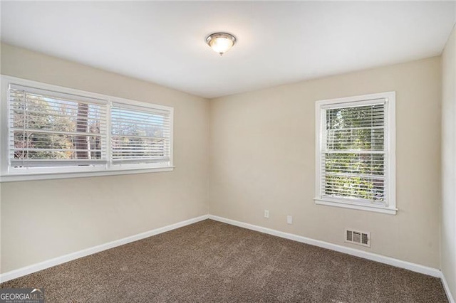 carpeted empty room featuring a wealth of natural light