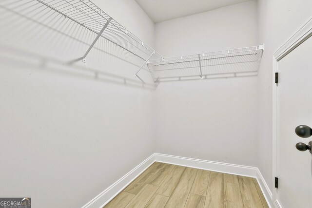 spare room featuring ceiling fan and light wood-type flooring