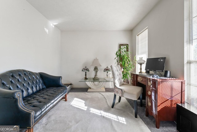 view of carpeted home office