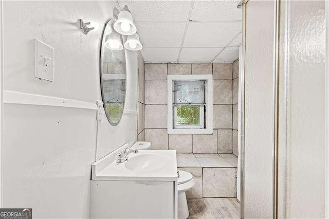 bathroom with vanity, toilet, and a drop ceiling