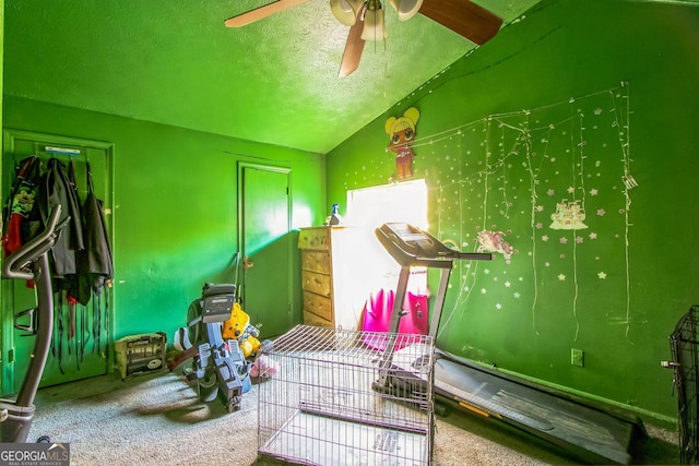 playroom with carpet flooring, lofted ceiling, and a textured ceiling