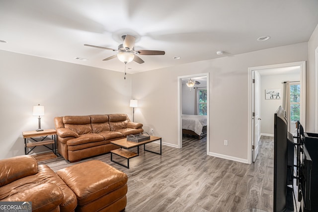 living room featuring ceiling fan and light wood-type flooring