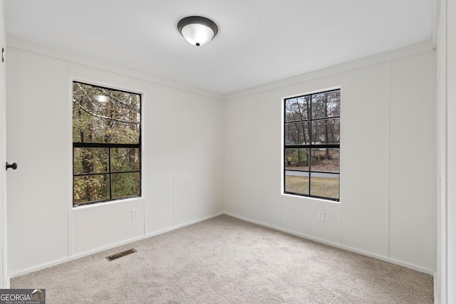 carpeted spare room featuring plenty of natural light and crown molding