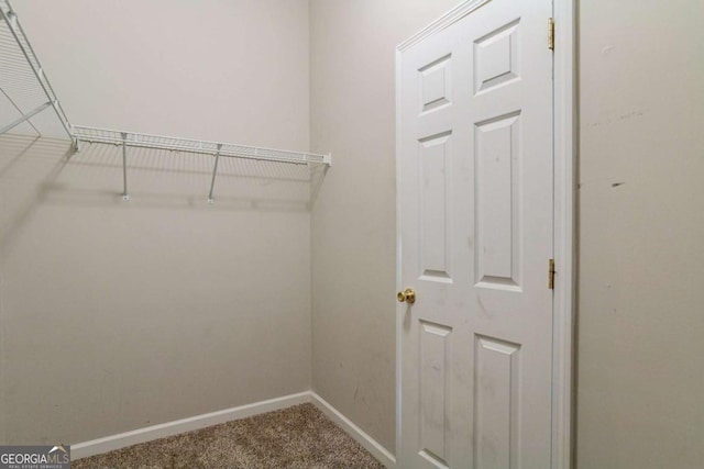 walk in closet featuring carpet flooring