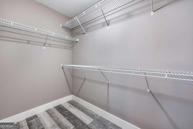 spacious closet with wood-type flooring