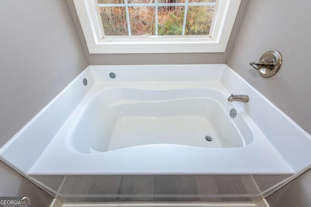 bathroom featuring a bathing tub