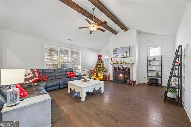 living room featuring a warm lit fireplace, visible vents, dark wood finished floors, a ceiling fan, and beamed ceiling