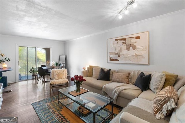 living room with crown molding, hardwood / wood-style floors, and track lighting