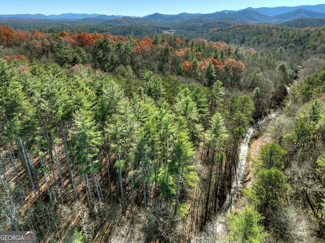 Listing photo 3 for 0 Dunn Mill Creek Rd, Blue Ridge GA 30513