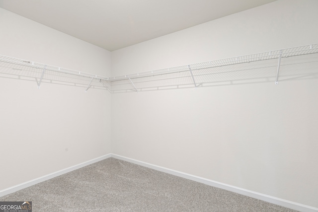 walk in closet featuring carpet