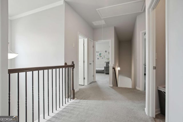 corridor with light colored carpet and ornamental molding