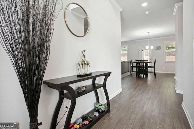 hall with crown molding, dark wood-type flooring, and a notable chandelier