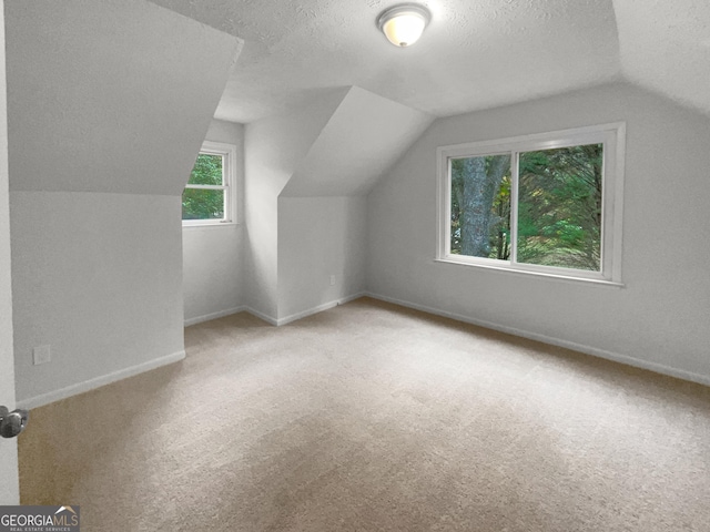 additional living space featuring carpet, a textured ceiling, and vaulted ceiling