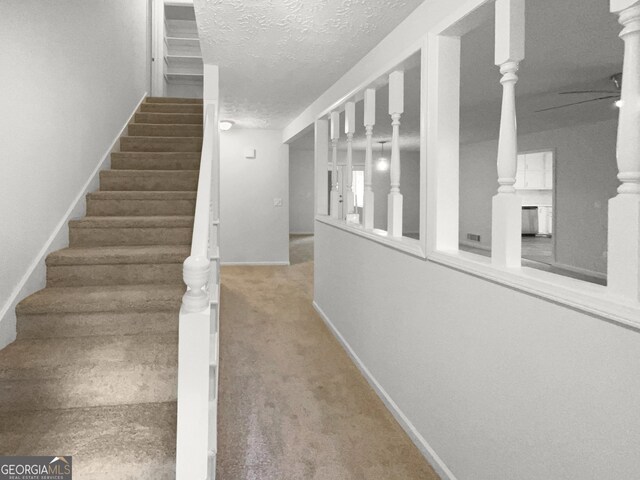 staircase with a textured ceiling, carpet floors, and ceiling fan