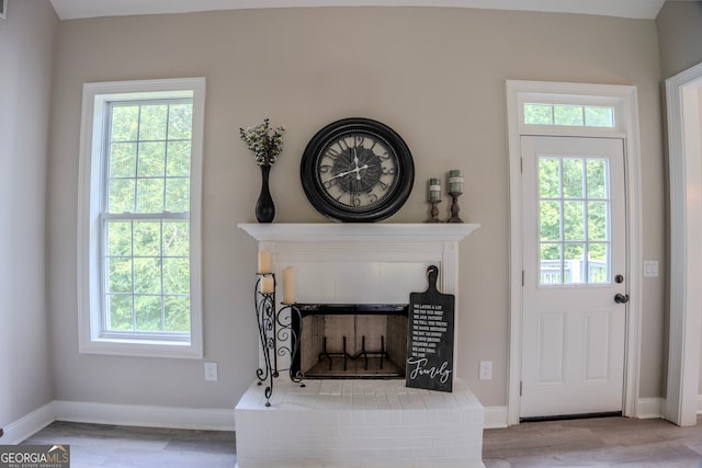 living room featuring a fireplace and light wood-type flooring