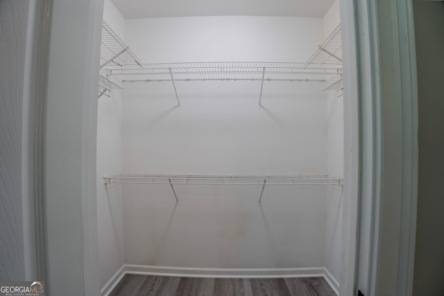 spacious closet with dark wood-type flooring