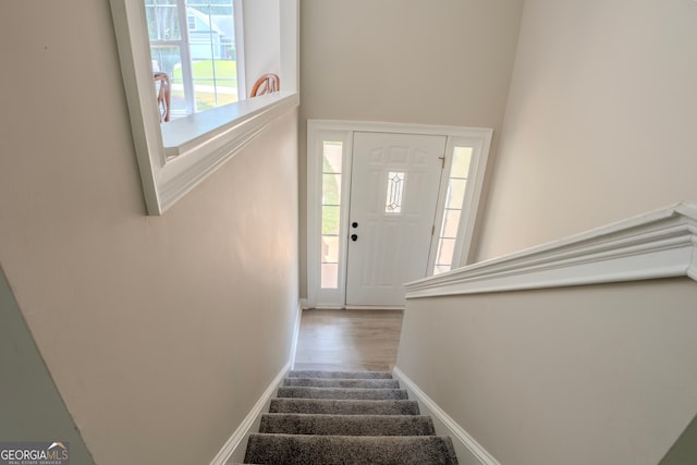 entryway featuring hardwood / wood-style floors and a healthy amount of sunlight