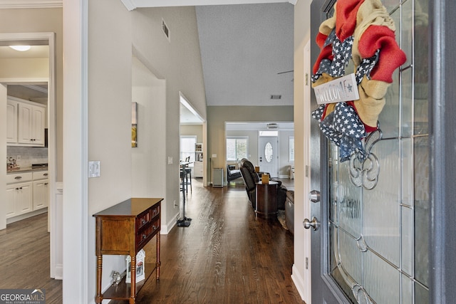 entrance foyer with dark wood-type flooring