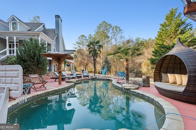 view of pool featuring a patio