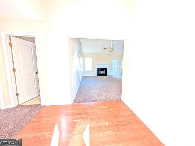 corridor with light colored carpet