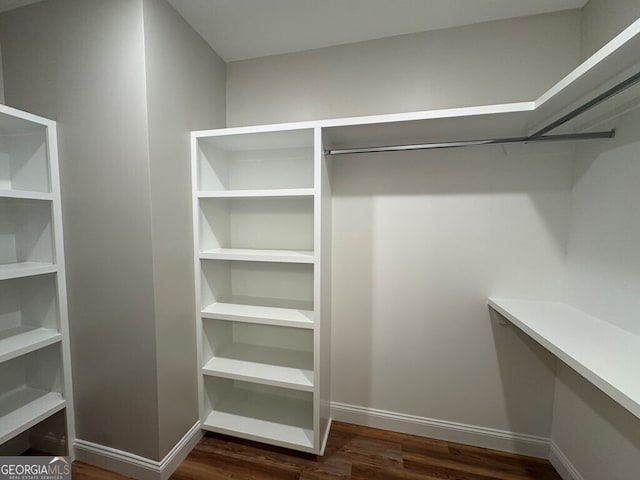 walk in closet featuring dark wood-type flooring