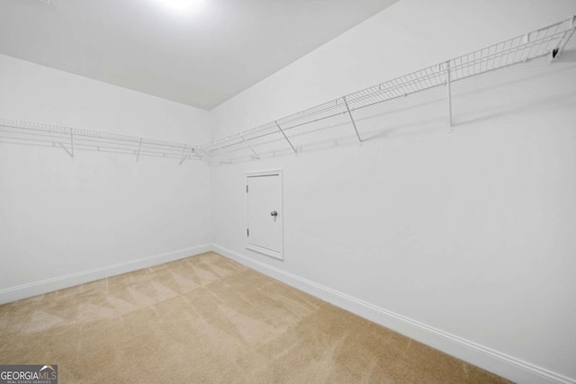 walk in closet featuring carpet