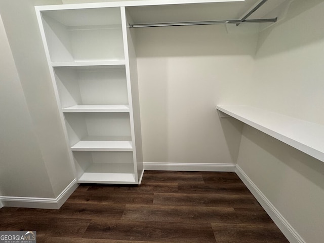 spacious closet featuring dark wood-type flooring