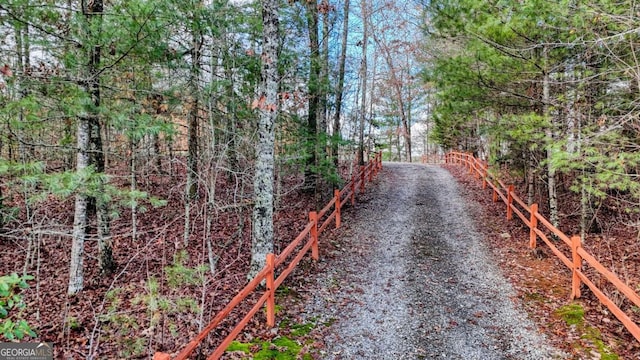 236 William Branch Rd, Morganton, GA 30560 - view of road