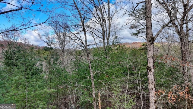 236 William Branch Rd, Morganton, GA 30560 - view of nature featuring a forest view