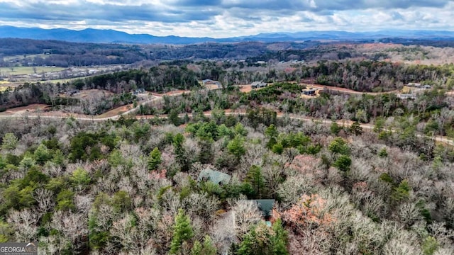 birds eye view of property with a mountain view