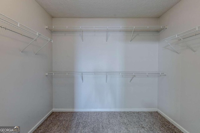 walk in closet featuring carpet floors