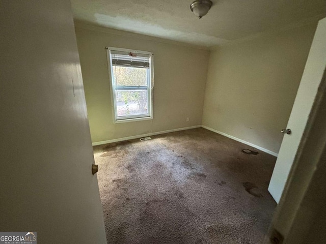 spare room featuring carpet and a textured ceiling