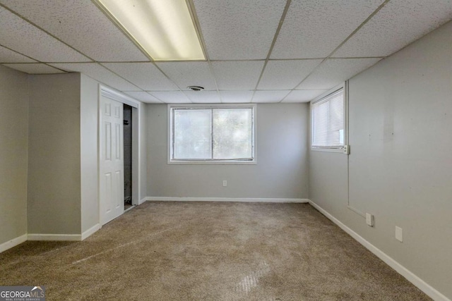 interior space featuring a paneled ceiling and carpet floors