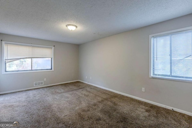 carpeted empty room featuring a healthy amount of sunlight and a textured ceiling