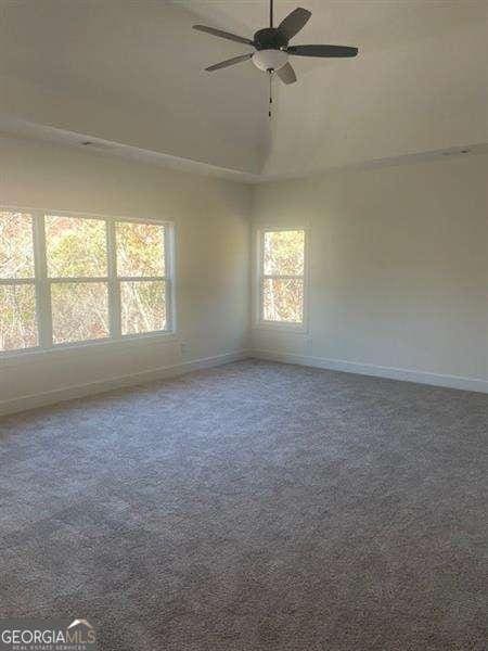 carpeted empty room featuring a wealth of natural light and ceiling fan