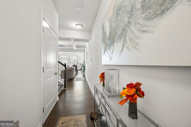 hall featuring beamed ceiling and dark hardwood / wood-style floors